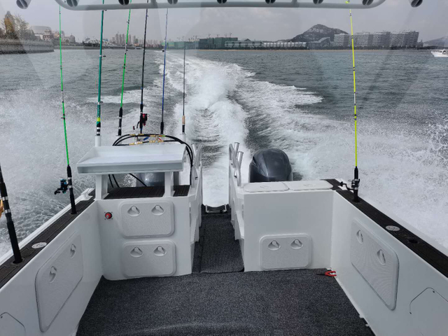 Navire de pêche catamaran en aluminium de performance soudé sur mesure de 7,3 m à vendre Aucun commentaire pour l'instant