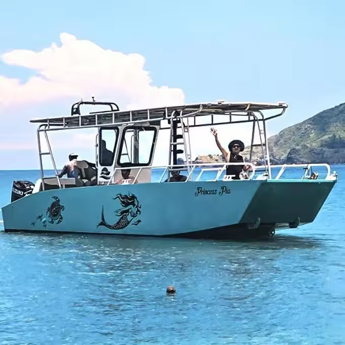 Bateau en aluminium de péniche de débarquement de console de 9m transportant le péniche de débarquement de ferry de bateau de cargaison de 5 tonnes avec la console en ventes