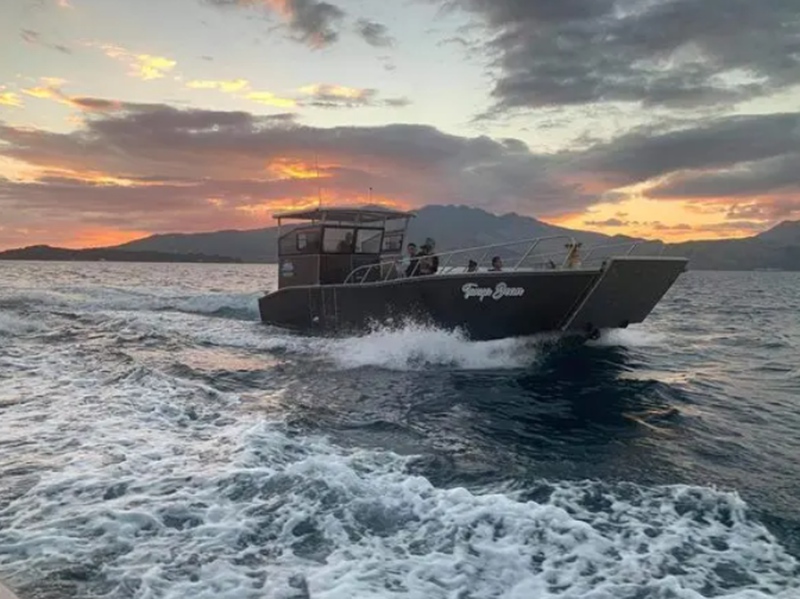 Principales caractéristiques de la péniche de débarquement en aluminium de 11 m