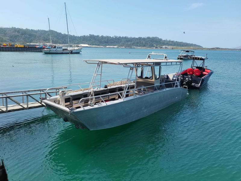 Péniche de débarquement en aluminium de 9 m 30 pieds Bateau de débarquement offshore pour le transport de marchandises de chargement de 9 m 30 pieds - Allsealion Boat