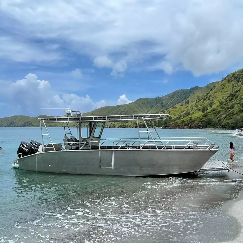 Péniche de débarquement en aluminium de 9 m 30 pieds Bateau de débarquement offshore pour le transport de marchandises de chargement de 9 m 30 pieds - Allsealion Boat